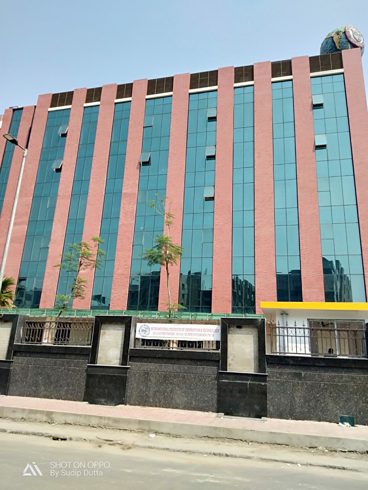 Enhance (min 6mm & above) - Zest