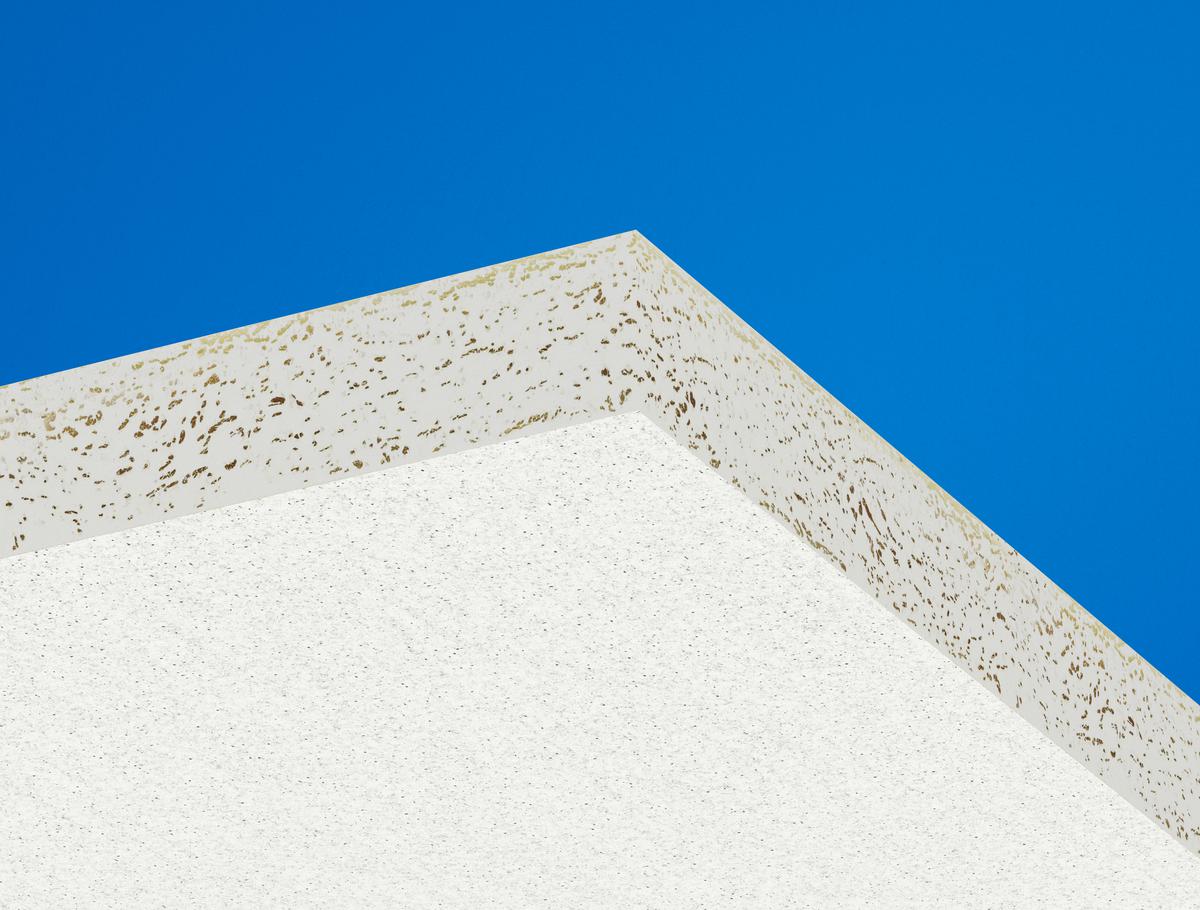 Ecophon Hygiene Performance® A