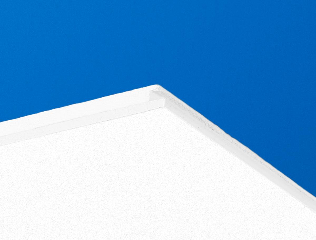 Ecophon Hygiene Performance® Ds